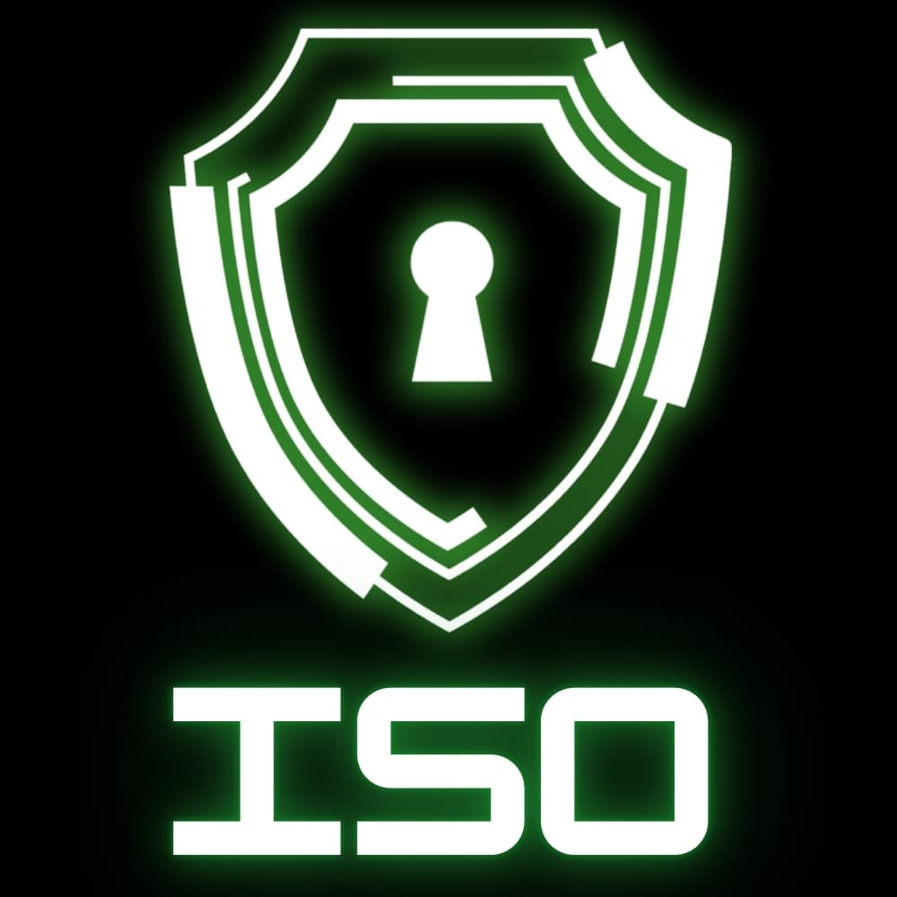 Information Security Organization
